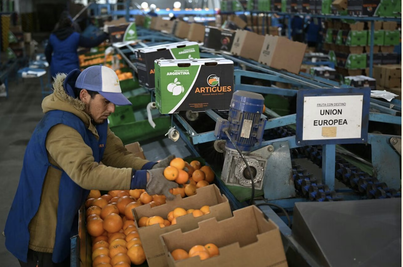 Ondanks krimp economie houdt de Argentijnse president Milei vast aan zijn koers